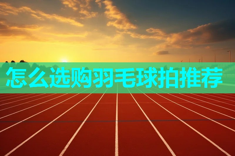 怎么选购羽毛球拍推荐