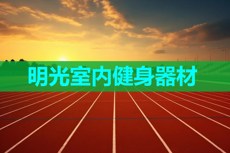 明光室内健身器材