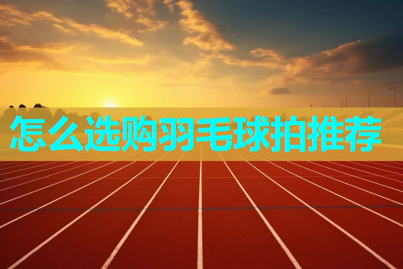 怎么选购羽毛球拍推荐