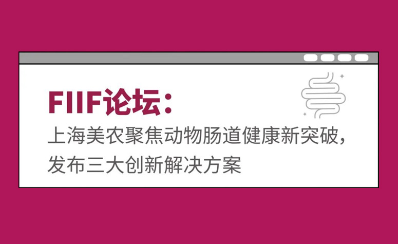 FIIF论坛：上海97国际官网聚焦动物肠路健康新突破，颁布三大创新解决规划