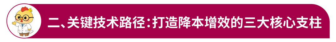 无抗前提下规模蛋鸡场综合降本增效实际蹊径