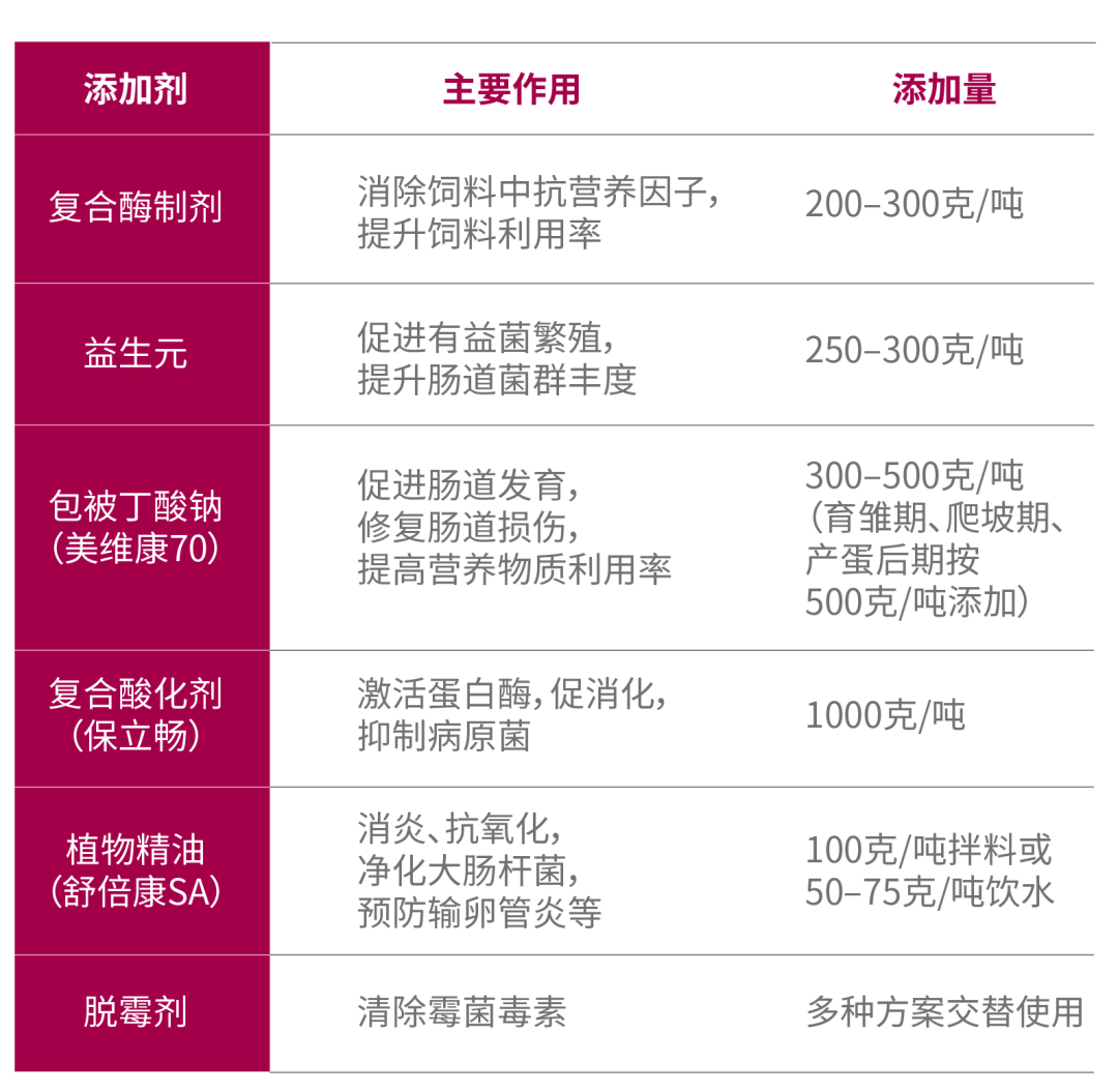 00eb08db5dfcdcf 00eb08db5dfcdcf