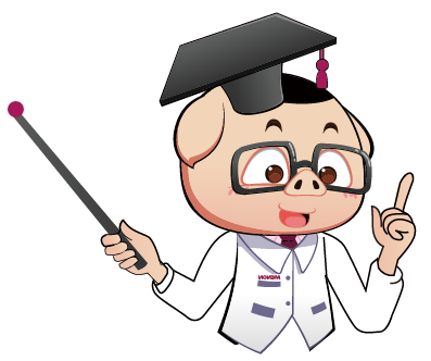 xiaozhu_画板 1.png