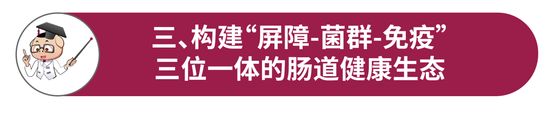 d60d79ba77c5fac