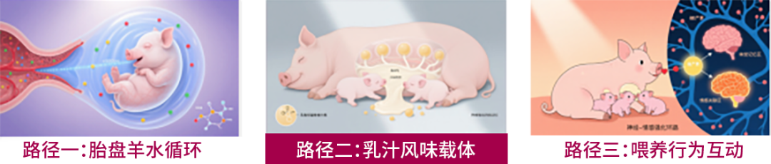 c4ab6d56837ac1e